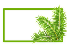 น้ำตาลมะพร้าวรื่นทวีทรัพย์