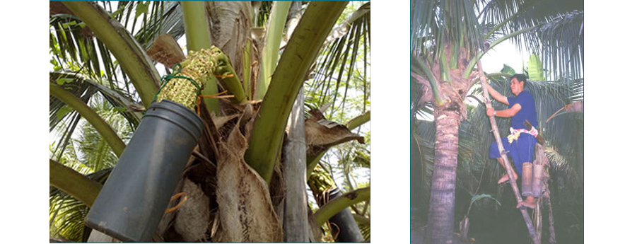 OG-Banner-1 หน้าแรก